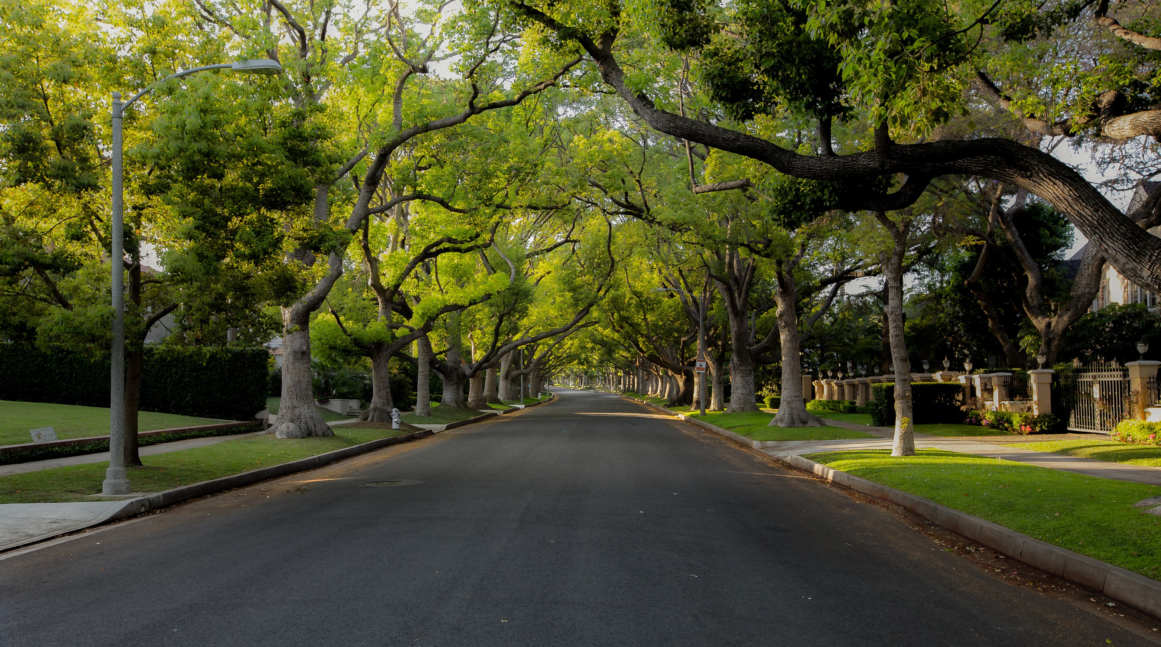 Heavy equipment rentals in Bellaire