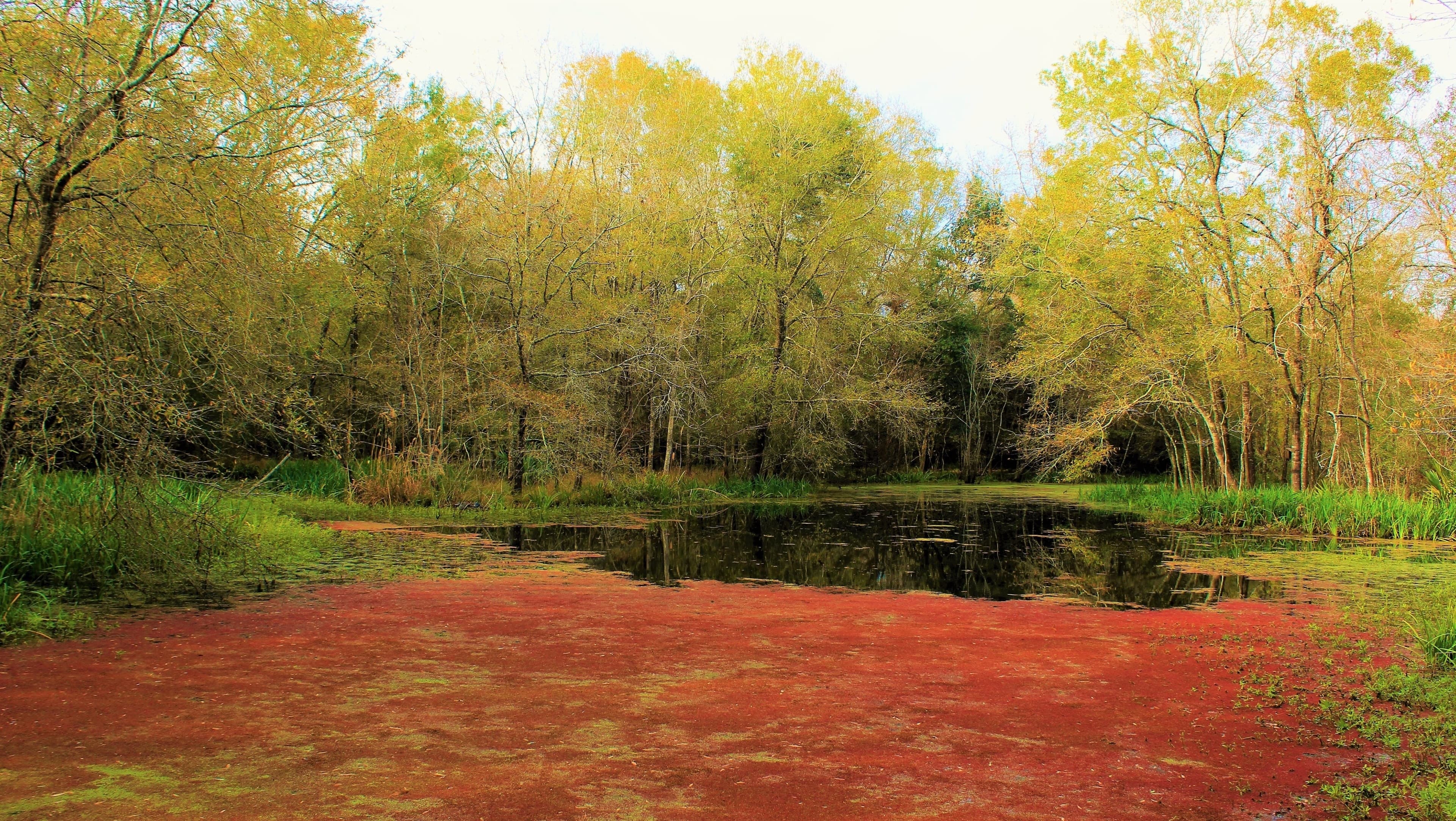 Equipment rentals in Pasadena