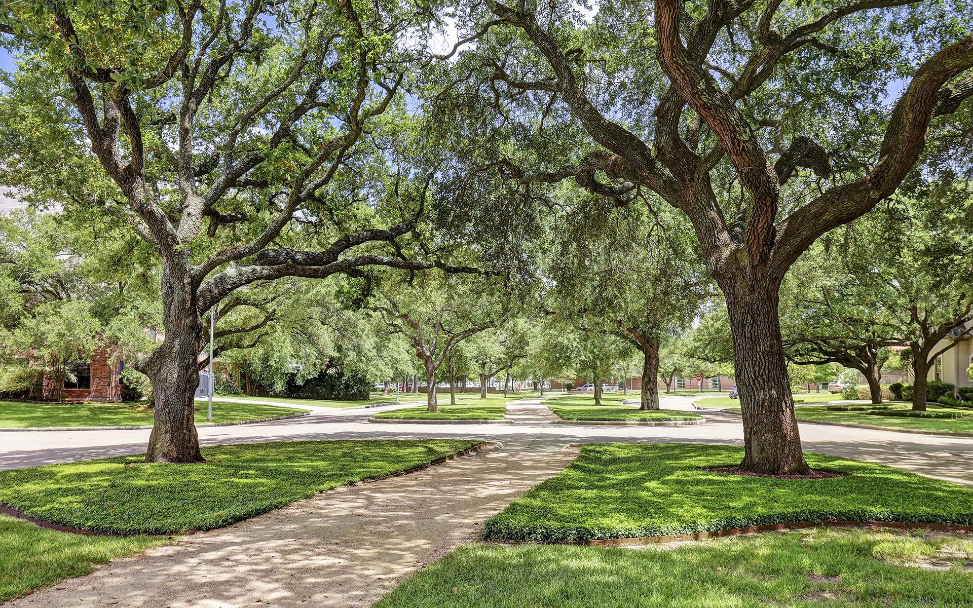 Heavy equipment rentals in Tanglewood